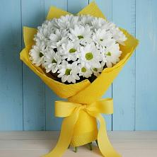 Букет цветов из:  Хризантемы в Кушве